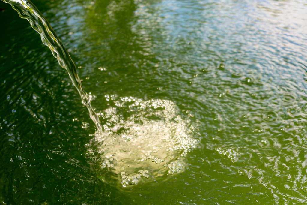 pond hoover